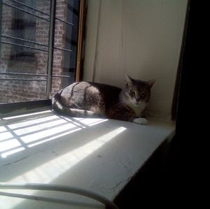 Meet your Posher, Artina